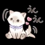 毎日使える♡大人可愛いガーリーキャット2