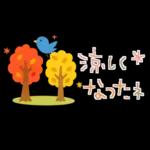 大人かわいい✳︎優しい秋色&気遣い