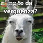 no te da vergüenza?