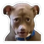 Licencia para robar Stickers