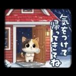 三毛猫の冬のあいさつ