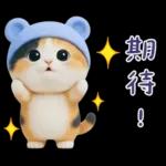 可愛小花貓超能幹的啦❤