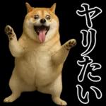 ガンギマリの柴犬＠エロ・日常会話