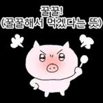 쩝쩝박사 꿀꾸리
