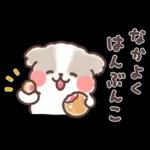 ふわふわシーズー 3歳児