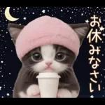 可愛いハチワレ猫 春の思いやり 敬語