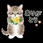 春の毎日☆猫たちのスタンプ（もふもふ）