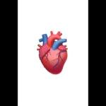 disgusted, beyond disappointment even