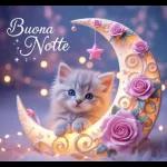 Buongiorno, buona domenica