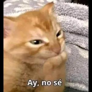 Ay, no sé - getsticker.com