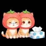 毎日使える 茶トラねこ 春 日常 いちご帽子