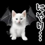 リアルな子猫ミーム（秋ハロウィン）