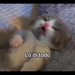 Lo di todo - getsticker.com