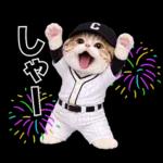 野球をする猫