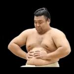 お相撲さんスタンプ