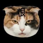 意外と使える！ネガティブなタイプの猫たち