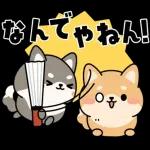 飛び出す！シバイヌの日常敬語スタンプ