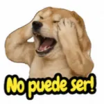 Puro amor 🫶