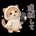 ちびニャンず♡毎日連絡スタンプ