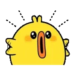 서비스 이용에 필요한 확인 절차✅