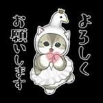 おめかしにゃん