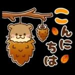 コツメカワウソ♡毎日つかえる秋