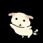 쌀개 쌀멍이에yo4