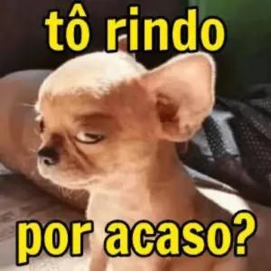 tô rindo por acaso? - getsticker.com