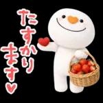 mottoのもちもふ♡春♪