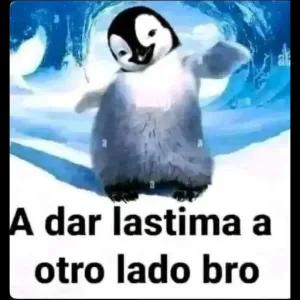 A dar lastima a otro lado bro - getsticker.com