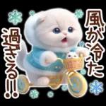 冬の猫のスコティッシュ【よく使う言葉】