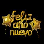  Feliz año nuevo1