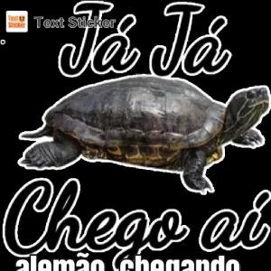 Já Já Chego ai - getsticker.com