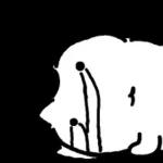 찌글찌글 미니 눈멍냥이