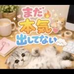 飛び出す♡やる気ないにゃんこ