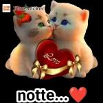 Buona Notte