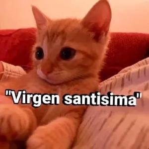 "Virgen santísima" - getsticker.com