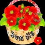 bom dia kkkkk