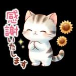 猫のつめあわせ【夏】