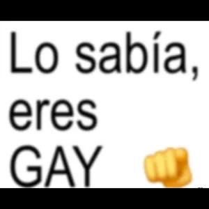 GyQtkt