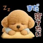 【3D】毎日使える挨拶♡トイプードル