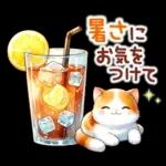 猫のつめあわせ【夏】