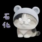 可愛小花貓超能幹的啦❤