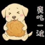 小拉拉 實用日常