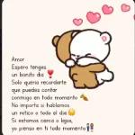 te extraño mucho amor, pero sabré esperar en silencio verte de nuevo, hasta solamente no olvides que quiero demasiado, no dejo de pensar ni un minuto en ti