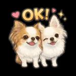 ブラン&プティ第2弾♡