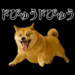 ガンギマリの柴犬＠エロ・日常会話