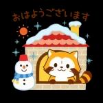 雪とぽんぽこたぬき❄️