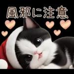 可愛いハチワレ猫 サンタ帽 冬 気づかい