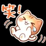 毎日♡猫ちゃんず【連絡・今何してる？】